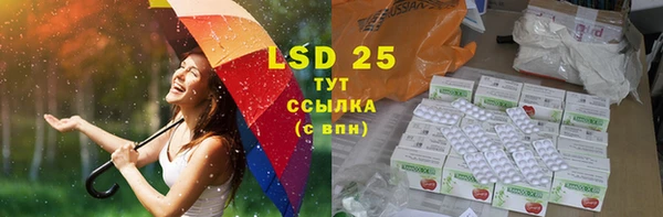 PSILOCYBIN Семёнов