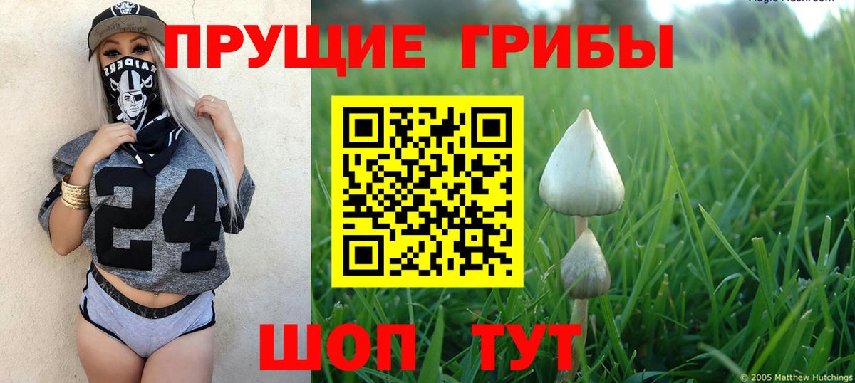 Псилоцибиновые грибы MAGIC MUSHROOMS  Псилоцибиновые грибы MAGIC MUSHROOMS  Вход с VPN  Нарткала 